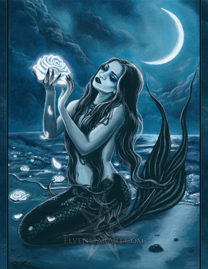 Moon Flower Prints